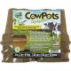 CP6-12 6PK 3IN MANURE START POT