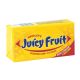 022000006677 JUICY FRUIT GUM