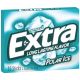 022000008985 EXTRA POLAR ICE GUM