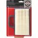 024847255164 AIR FILTER W/PRECLEANER