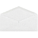 100PK #10 LETTR ENVELOPE