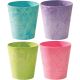 5 BRIGHT COLOR PLANTER