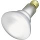 Bulb Incadescent 65W BR30 120V Indoor/Outdoor Satco S2808