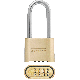 ALPHA LNG SHKLE PADLOCK MASTERLOCK