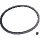 SEALING RING