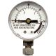 PRESSURE CANNER GAUGE