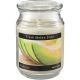 FRESH MELON SLICE JAR CANDLE