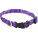 10 In. to 16 In. Nylon Dog Collar