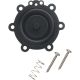 077985604004 DIAPHRAGM REPLACEMNT KIT