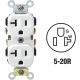 WHT DUPLEX OUTLET