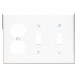 WHT 2TOGL/OUT WALL PLATE