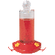 WINDOW HUMMER FEEDER